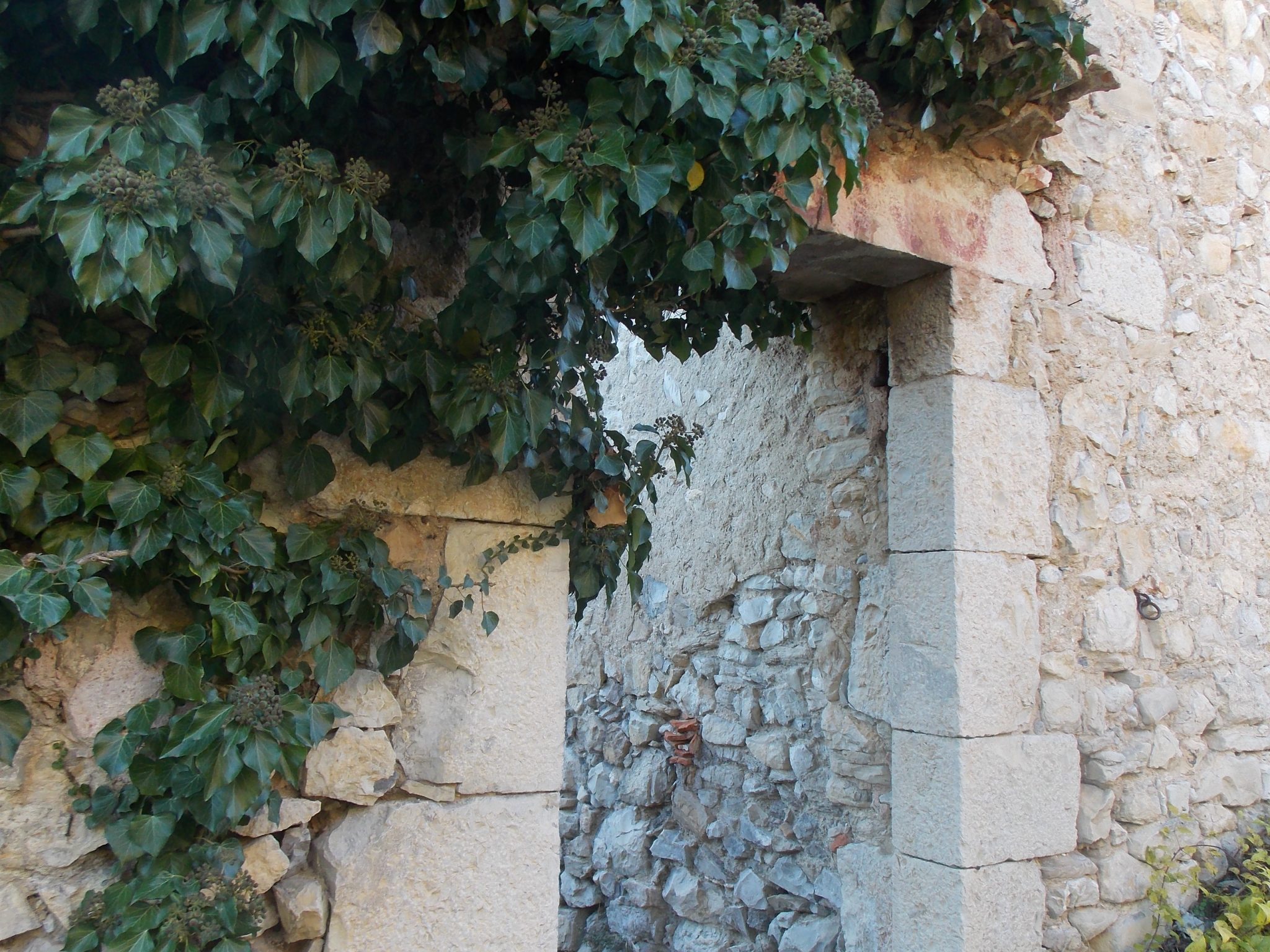 Randonnée Haute Provence