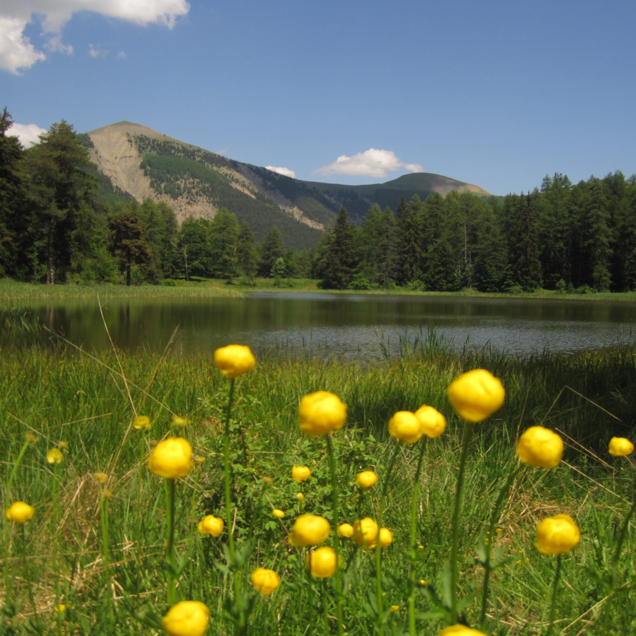 Massif des Monges (vacances Haute Provence)