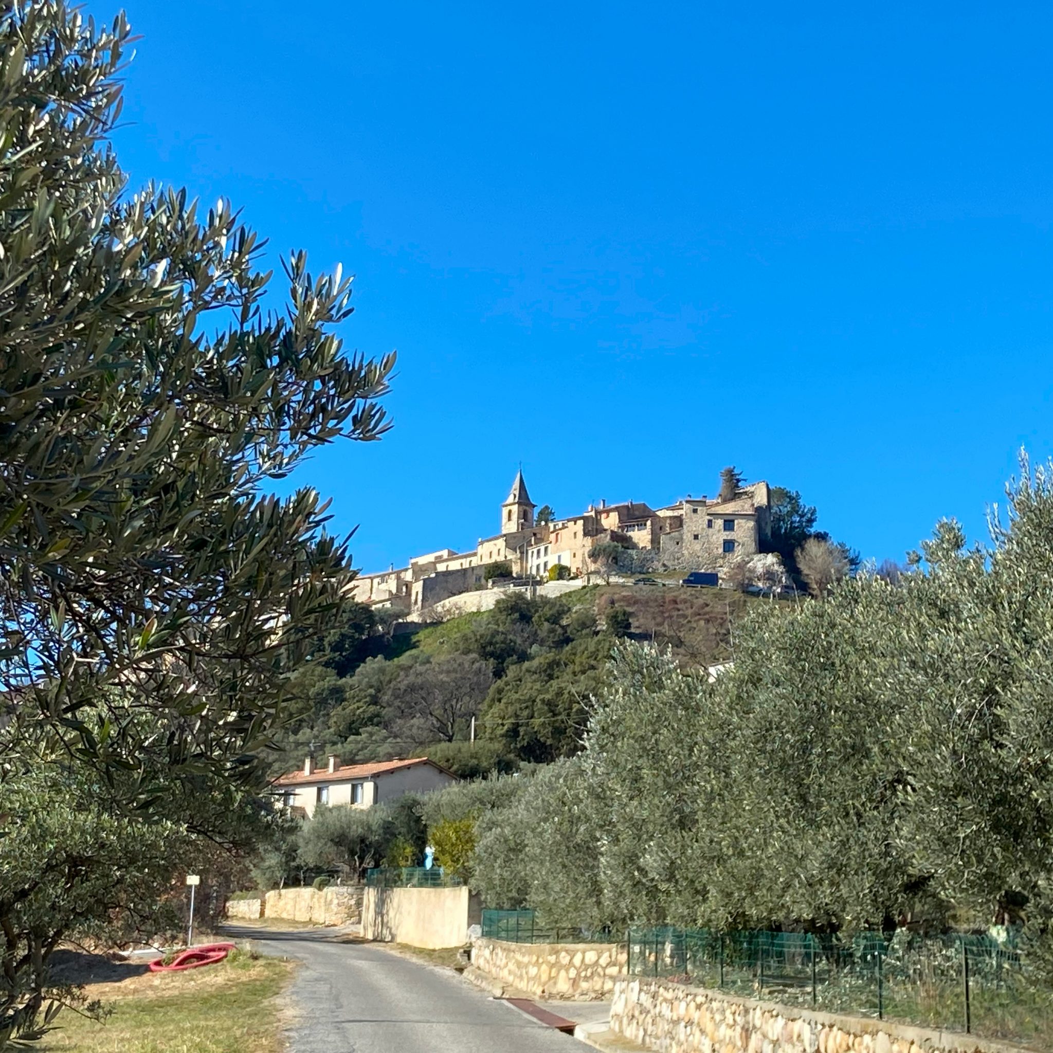 Montfort (vacances Haute Provence)