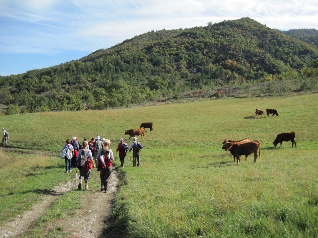 Randonnée Pont du Gournias (vacances Alpes de Haute Provence)
