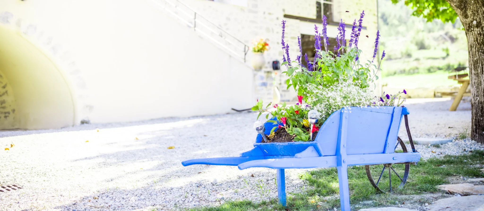 Espace extérieur du gîte - Haute Provence, Vallée du Jarbon
