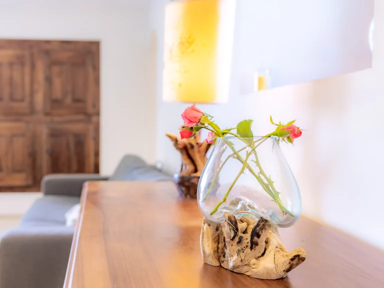 Pièce à vivre du gîte - Haute Provence, Vallée du Jarbon